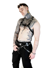 Load image into Gallery viewer, Pup Harness