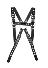 Load image into Gallery viewer, Pup Harness