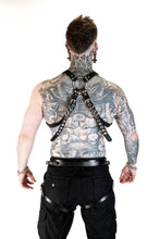 Load image into Gallery viewer, Pup Harness

