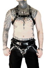 Load image into Gallery viewer, Pup Harness
