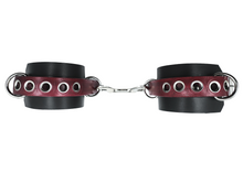 Load image into Gallery viewer, Heavy Duty Restraints
