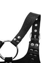 Load image into Gallery viewer, Orbweaver Harness with Stainless Steel Chain

