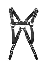Load image into Gallery viewer, Pup Harness
