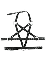 Load image into Gallery viewer, Pentagram Harness
