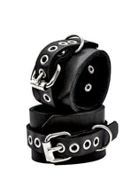 Load image into Gallery viewer, Restraints
